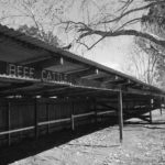 Beef & Cattle Block