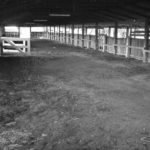Dairy Block internal