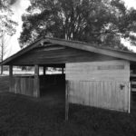 Vet Stall attached to Dairy Block