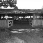 Dairy Block