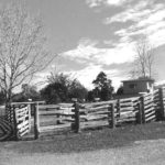 Timber Cattle Yard Eastern Side