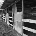 Stables