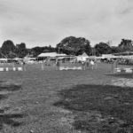 Arena