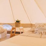 220620304_554550409011416_8355576371147017152_nlow