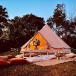 241666806_537406264212469_597565261927300185_nlow